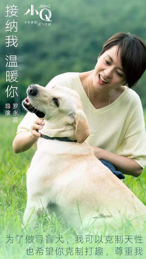 明斯特造型艺术学院设计学位证